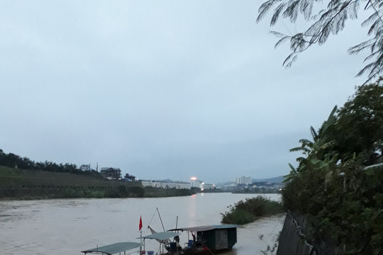 Lào Cai: Sông Hồng xuất hiện lũ lớn bất thường trái mùa