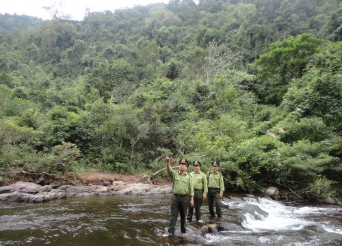 Kiểm lâm Bắc Giang bảo vệ rừng ngày xuân