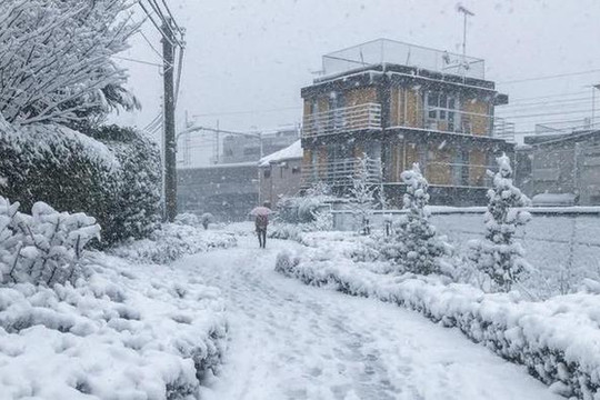 Ấn Độ: Nhiều chuyến bay bị hủy do tuyết rơi dày