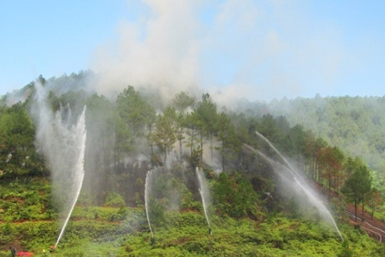 Phòng cháy, chữa cháy rừng: Triển khai các biện pháp cấp bách