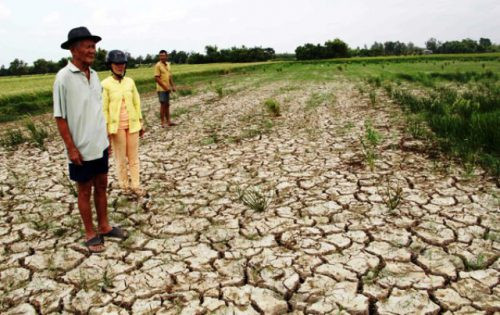 Tây Nguyên: Thiếu nước nghiêm trọng khi bước vào mùa khô 2019