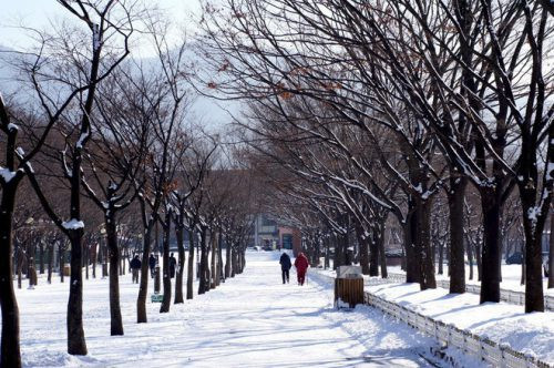 Thủ đô Moskva, Nga: Tuyết rơi kỷ lục, dày khoảng 11 cm