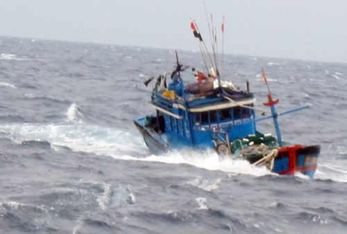 Cà Mau: Cứu nạn thành công tàu cá gặp nạn trên biển