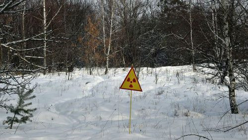 Ukraine: Cháy lớn đã bùng phát tại khu cấm xâm nhập Chernobyl