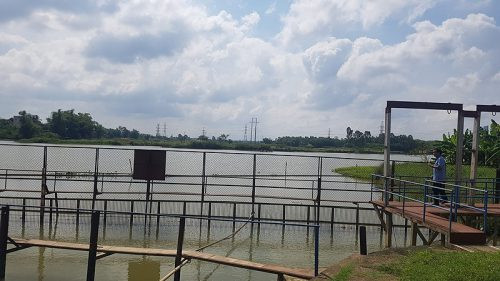 Đà Nẵng: Đề nghị các hồ chứa thủy điện xả nước đẩy mặn
