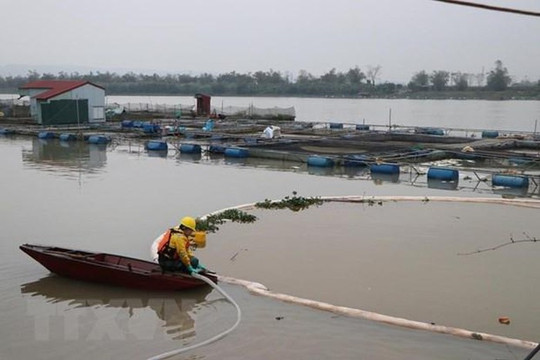 Khoảng 85% lượng dầu tràn trên sông Kinh Thầy đã được thu gom