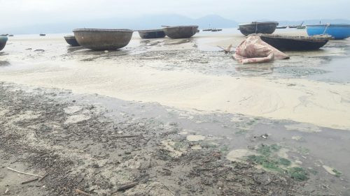 Đà Nẵng: Lý giải nguyên nhân gần 1 km bờ biển bị nước thải sủi bọt vàng đục bủa vây