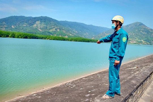 Khánh Hòa: Hồ nước sinh hoạt hàng chục con heo chết bị vứt chưa đến mức ô nhiễm