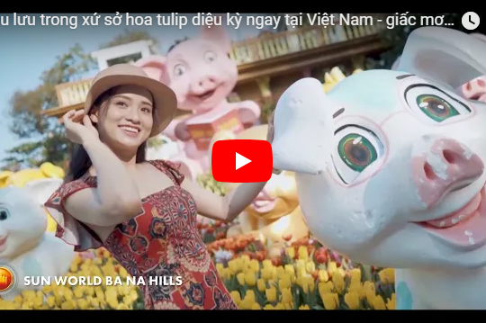 Phiêu lưu trong xứ sở hoa tulip diệu kỳ ngay tại Việt Nam – giấc mơ có thật