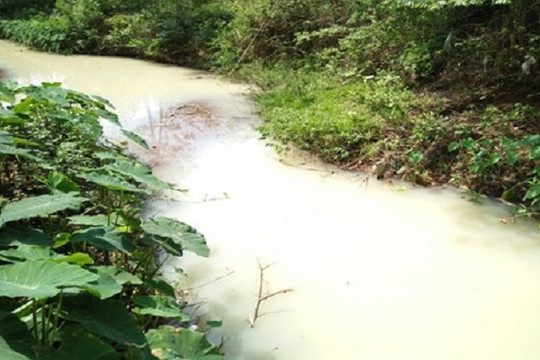 Đà Nẵng: Mương nước đổi màu trắng đục bất thường, khiến người dân lo ngại ô nhiễm