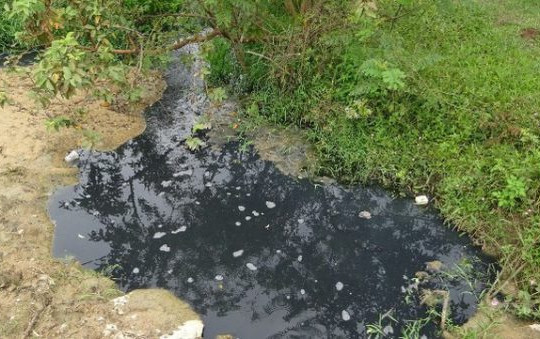Gia Lai: Người dân khốn khổ vì nhà máy đường An Khê gây ô nhiễm nghiêm trọng
