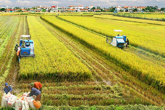 Phát triển nông nghiệp hiện đại, bền vững gắn liền với xây dựng nông thôn mới