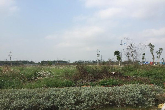 Gần 2.000 ha đất dự án tại Mê Linh bị bỏ hoang: Doanh nghiệp “sốt ruột”