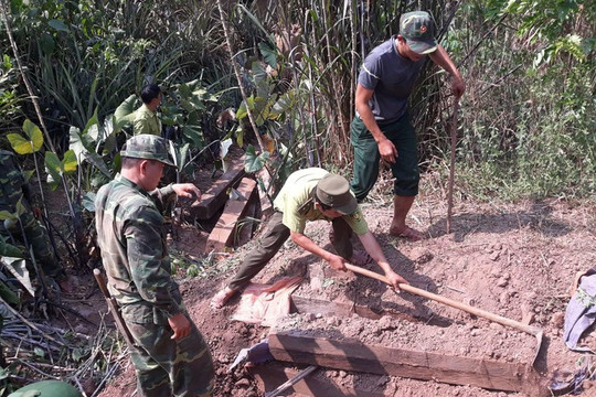 Vụ phá rừng ở Phong Nha – Kẻ Bàng: Phát hiện 3 hầm gỗ quý