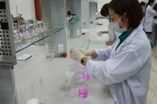 Việt Nam nghiên cứu tìm hướng sản xuất vaccine ngăn ngừa dịch tả lợn Châu Phi