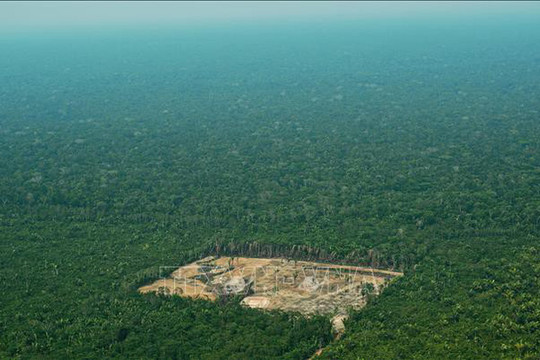 Amazon mất 30 triệu ha rừng nguyên sinh chỉ trong 17 năm