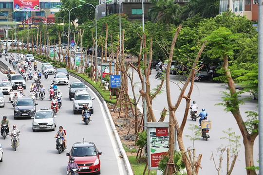 Hà Nội: Nỗ lực phủ xanh nhiều tuyến phố