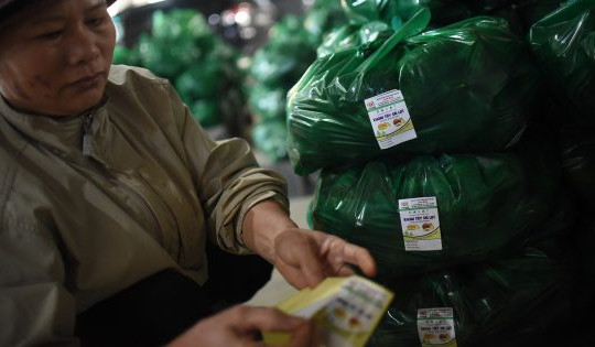 Lâm Đồng: Tiến hành dán tem chống hàng giả cho 1.500 tấn khoai tây Đà Lạt