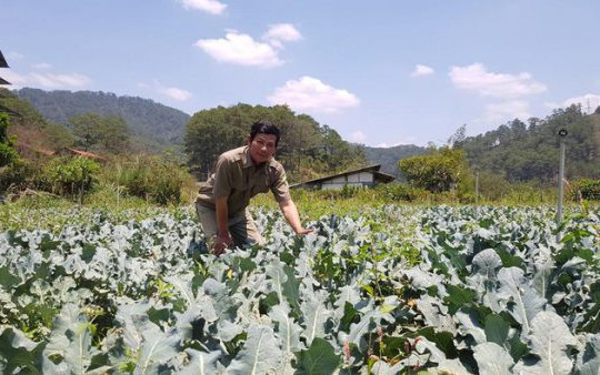 Lâm Đồng: Bùn thải gây ô nhiễm nguồn nước danh thắng quốc gia thác Prenn