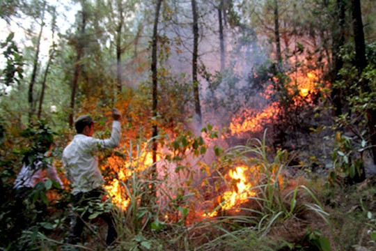 Phía Tây Bắc Bộ: Nắng nóng gay gắt làm tăng nguy cơ cháy rừng