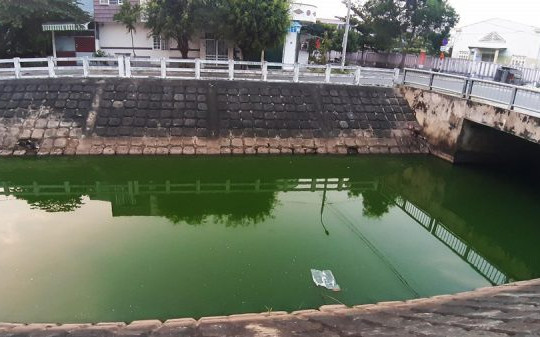 Đà Nẵng: Tuyến kênh dài gần 2km đổi màu bất thường, kèm hiện tượng cá chết