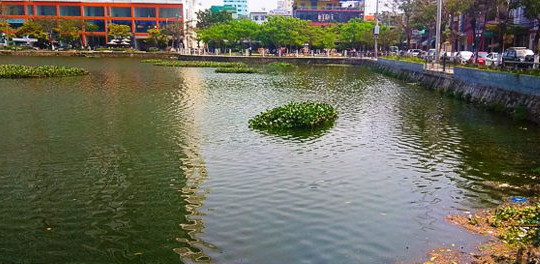 Dũng 'lò vôi' từ chối đầu tư dự án xử lý ô nhiễm tại Đà Nẵng