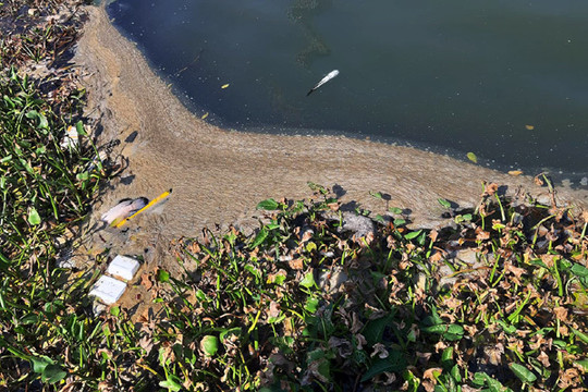 Đà Nẵng: Sông Hàn bốc mùi hôi thối do nước thải nhà hàng