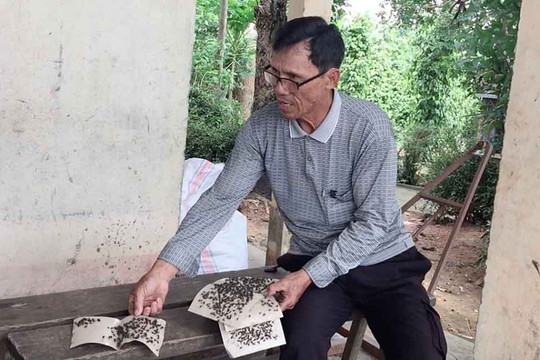 Quảng Bình: Người dân khốn khổ vì “bão ruồi” do Trại bò Hoà Phát