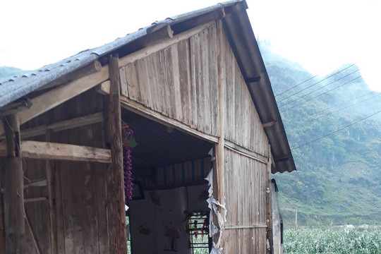 Lào Cai: Lốc xoáy, lũ quét lại gây nhiều thiệt hại