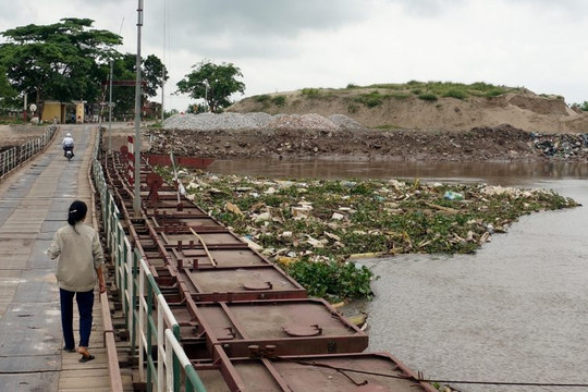 Hải Phòng: Hàng trăm xác lợn chết bốc mùi nồng nặc trên sông Hóa