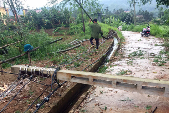 Lào Cai: Lốc xoáy gây thiệt hại khoảng 500 triệu đồng