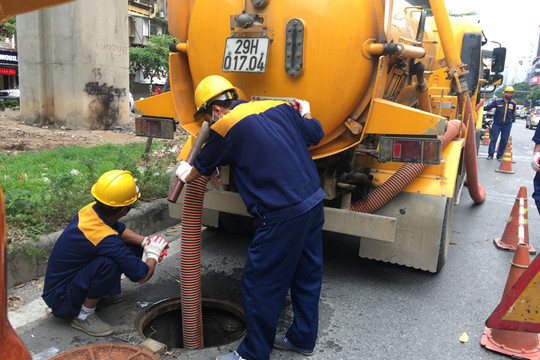 Hà Nội: Trồng thay thế cây đổ sau mưa bão trong 5 ngày