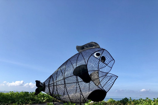 Cá bống ăn rác thải nhựa ở đảo Bali, Indonesia