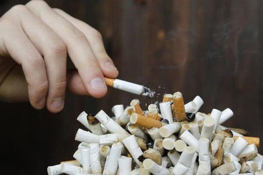 Sinh viên hút thuốc lá – Tác hại khôn lường!