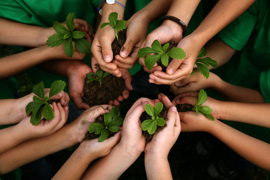 Học sinh, sinh viên Philippines phải trồng 10 cây xanh trước khi tốt nghiệp