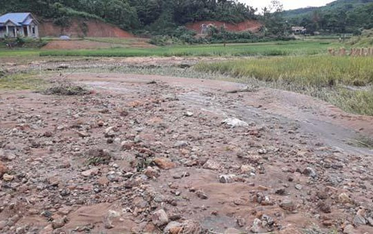 Thái Nguyên: Đất, đá thải do khai thác than vùi lấp ruộng lúa sắp thu hoạch của nông dân