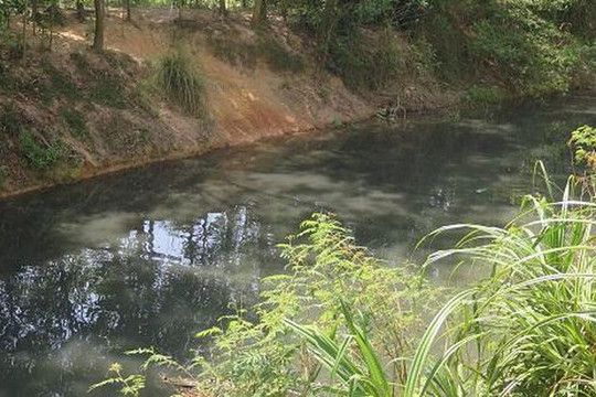 Quảng Ngãi: Người dân “nín thở” sống gần tuyến kênh ô nhiễm nặng, bốc mùi nồng nặc