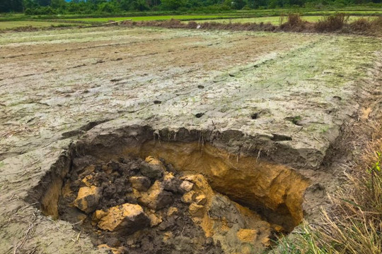 Thừa Thiên Huế: Dân bất an không dám canh tác vì ruộng vườn bị sụt lún tạo hố sâu