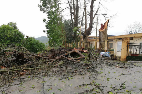 Mưa lốc gây nhiều thiệt hại tại Thái Nguyên
