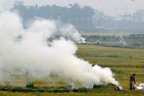 Hà Nội: ô nhiễm bụi mịn do nhiều nơi đốt rơm rạ