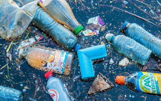 Canada cấm đồ nhựa dùng một lần để cứu hệ sinh thái biển