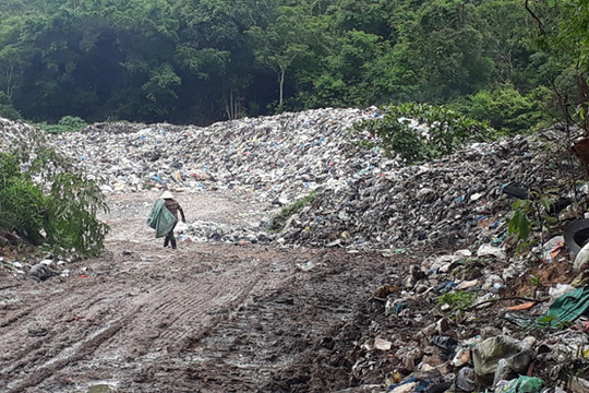 Phú Quốc: Người dân chặt cây ngăn đường chặn xe vào bãi rác tạm vì ô nhiễm