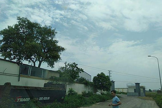 Thái Nguyên: Người dân “kêu trời” vì doanh nghiệp lén lút xả thải nước váng mỡ, bốc mùi