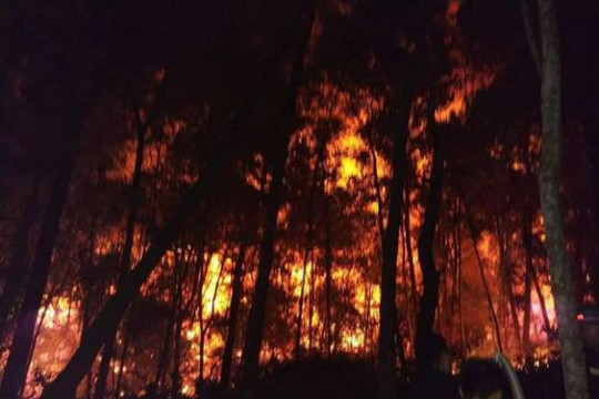 Hà Tĩnh: Cháy rừng tiếp tục bùng phát lần thứ 3 trên núi Hồng Lĩnh