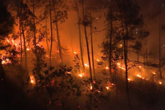 Thừa Thiên Huế: Hé lộ nguyên nhân hàng loạt vụ cháy rừng xảy ra trong cùng một ngày