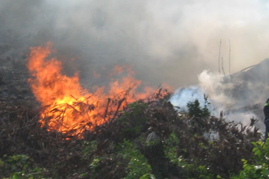 Quảng Ngãi: Cơ bản khống chế vụ cháy rừng tại huyện Đức Phổ