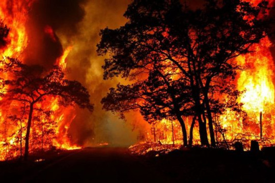 Quảng Bình: Huy động hơn 500 người nỗ lực tham gia dập tắt cháy rừng trong đêm