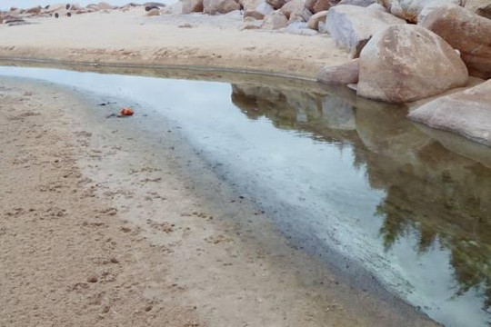 Hà Tĩnh: Hợp tác xã nuôi tôm xả trực tiếp nước thải ra môi trường biển
