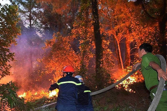 Cả nước xảy ra 156 vụ cháy rừng trong 6 tháng đầu năm 2019