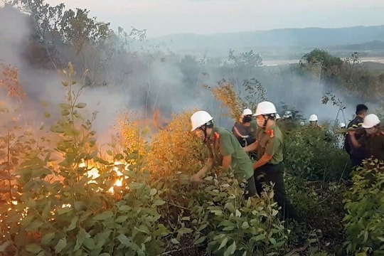 Tập trung khắc phục hậu quả mưa lũ và triển khai phòng, chống cháy rừng